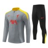 Liverpool Felpe da Allenamento Quarto-Zip 2024-25 Grigia per Bambino